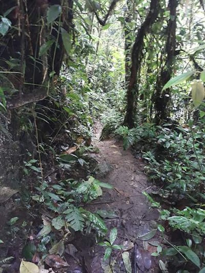 Photos of El Janeiro