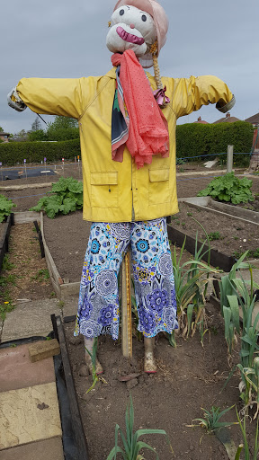 Allotments Gallery - United Kingdom