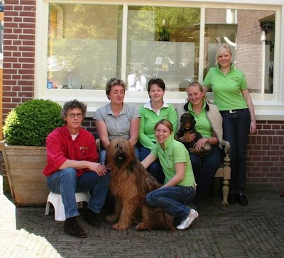 Photos of Dierenkliniek Velperweg