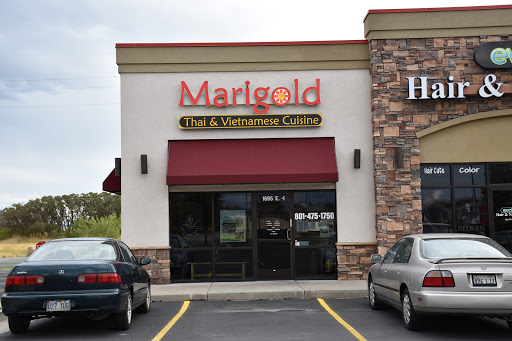 Marigold - Visual
