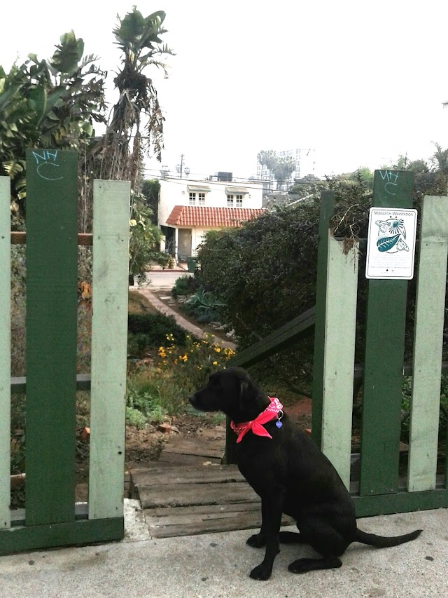 Venice Canals Beach Access Path