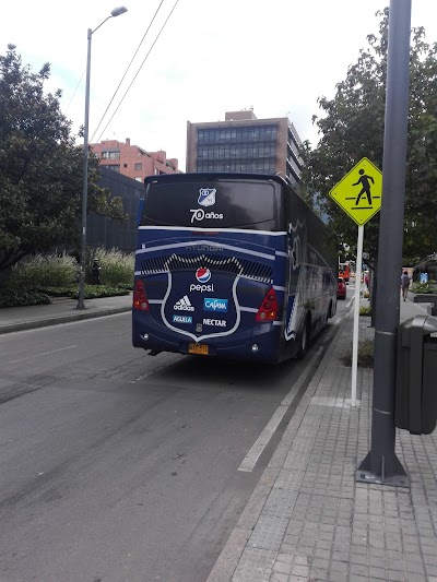 Photos of amarilo in Bogota