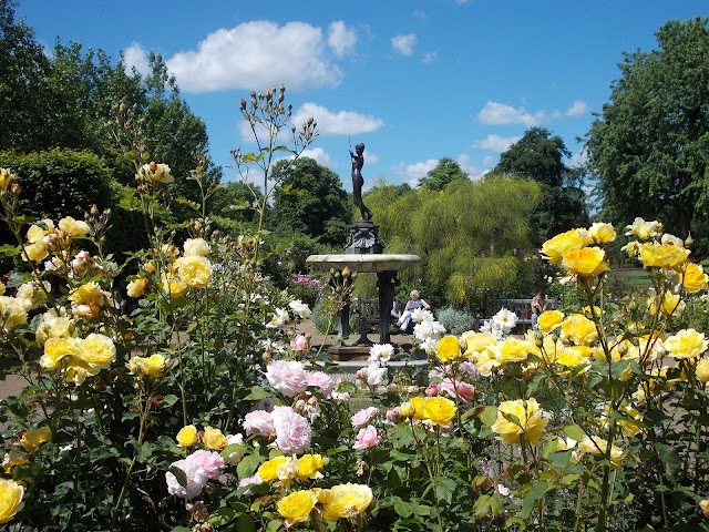 Rose Garden