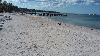 Photos of Dolphin Explorer