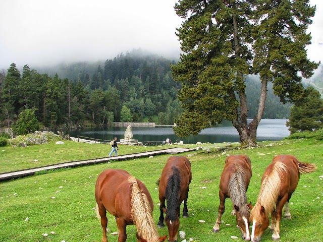 Parc national d'Aigüestortes et lac Saint-Maurice