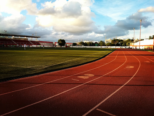 Saltillo Olympic Stadium - Thumbnail