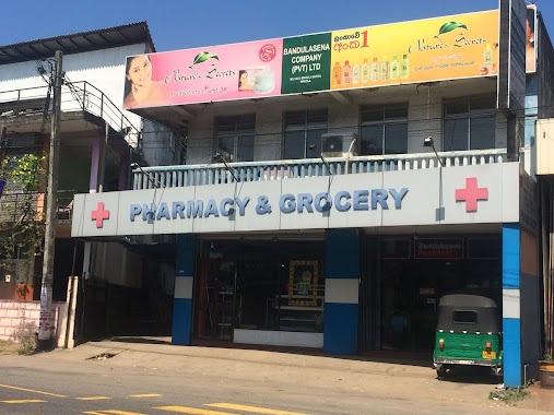 Bandulasena Pharmacy, Author: Malika Niroshana