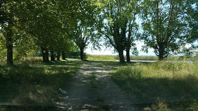 Photos of Camp Andon Dukov