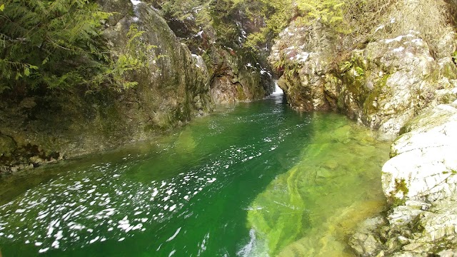 Lynn Canyon