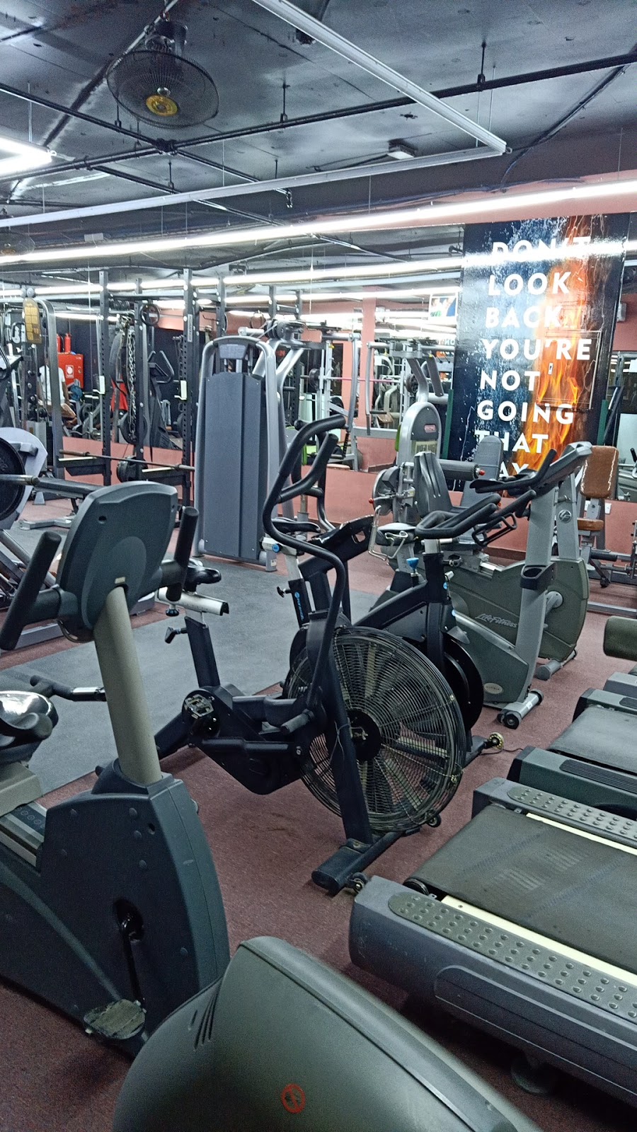 سنابل جيم - صورة 2