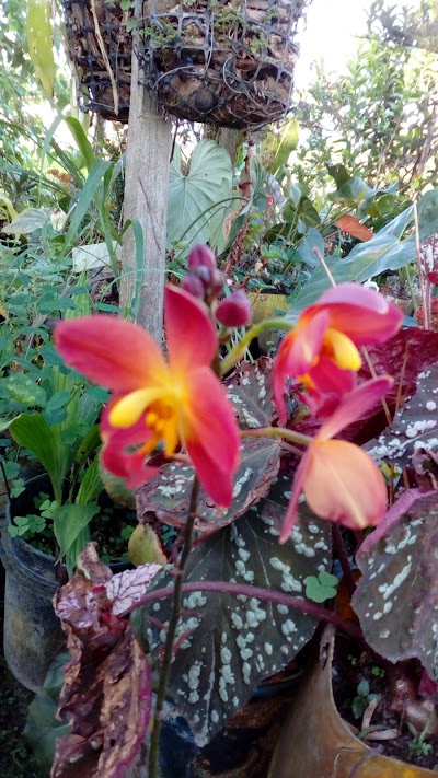Photos of Vivero Mercy