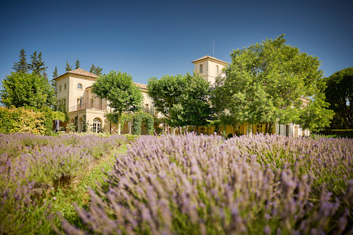 Photo de Domaine de la Dragonette : Location gîte de charme en Provence avec piscine à Entraigues-sur-la-Sorgue (84320)