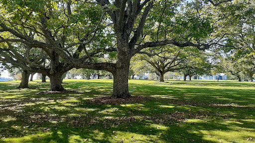 Waipuna Park - Thumbnail