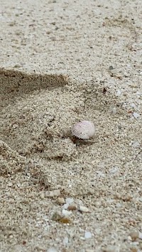 川島気功治療院・整骨院