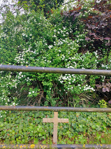 Friedhof Beiseförth - Visual