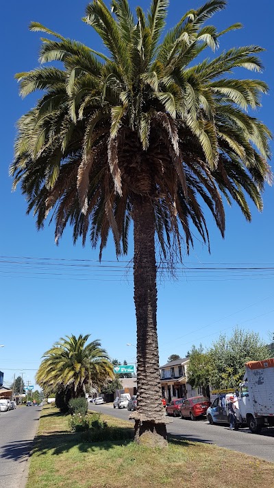 Photos of Ferreteria El Martillo