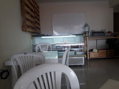 Photos of Karott - Proveedora y Catering Vegana