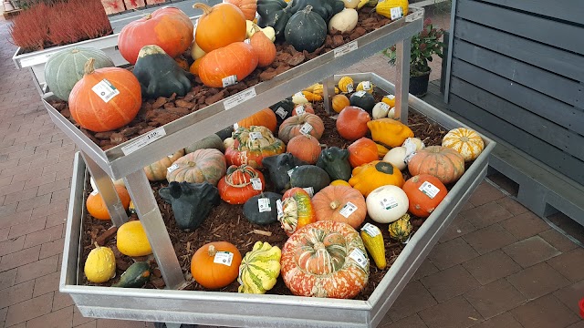 Plantagen