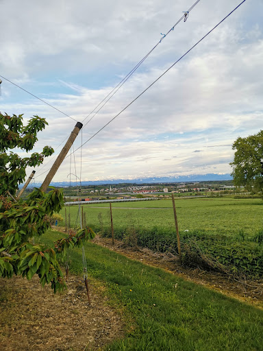 Ferienzentrum Bodensee - Thumbnail
