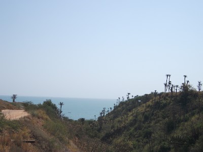Photos of Praia dos Surfistas