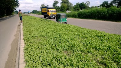 Photos of Amirabad Bus Stop