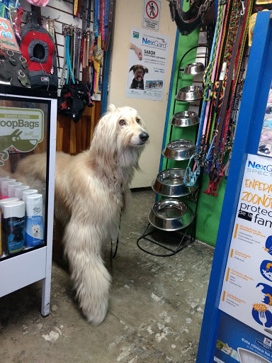 Clínica Veterinaria Llaguno