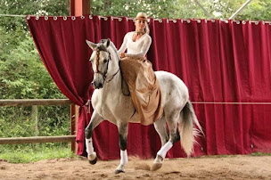 Photo n°1 de Écurie occitane à Sérignac (Centre équestre)