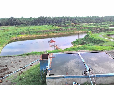 Photos of Pabrik Kelapa Sawit CV. Agro Sawita Mandiri Perkasa