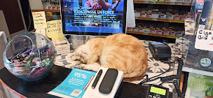 Photo n°5 de Le Gallia à Lorient (Bar sportif)