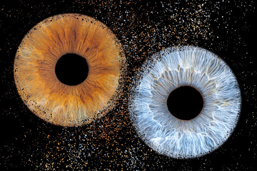 Nouveau à la roche : Photographiez votre Iris, pour une symphonie de couleurs ! 
De nouveaux mondes à découvrir, et une nouvelle façon de s'afficher, venez découvrir notre gamme de tableaux réalisés grâce à la beauté de vos yeux ! 
En manque d'idée cadeaux ? Offrez un bon cadeau pour réaliser un tableau personnalisé !