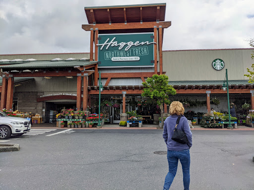 Snohomish Square - Visual