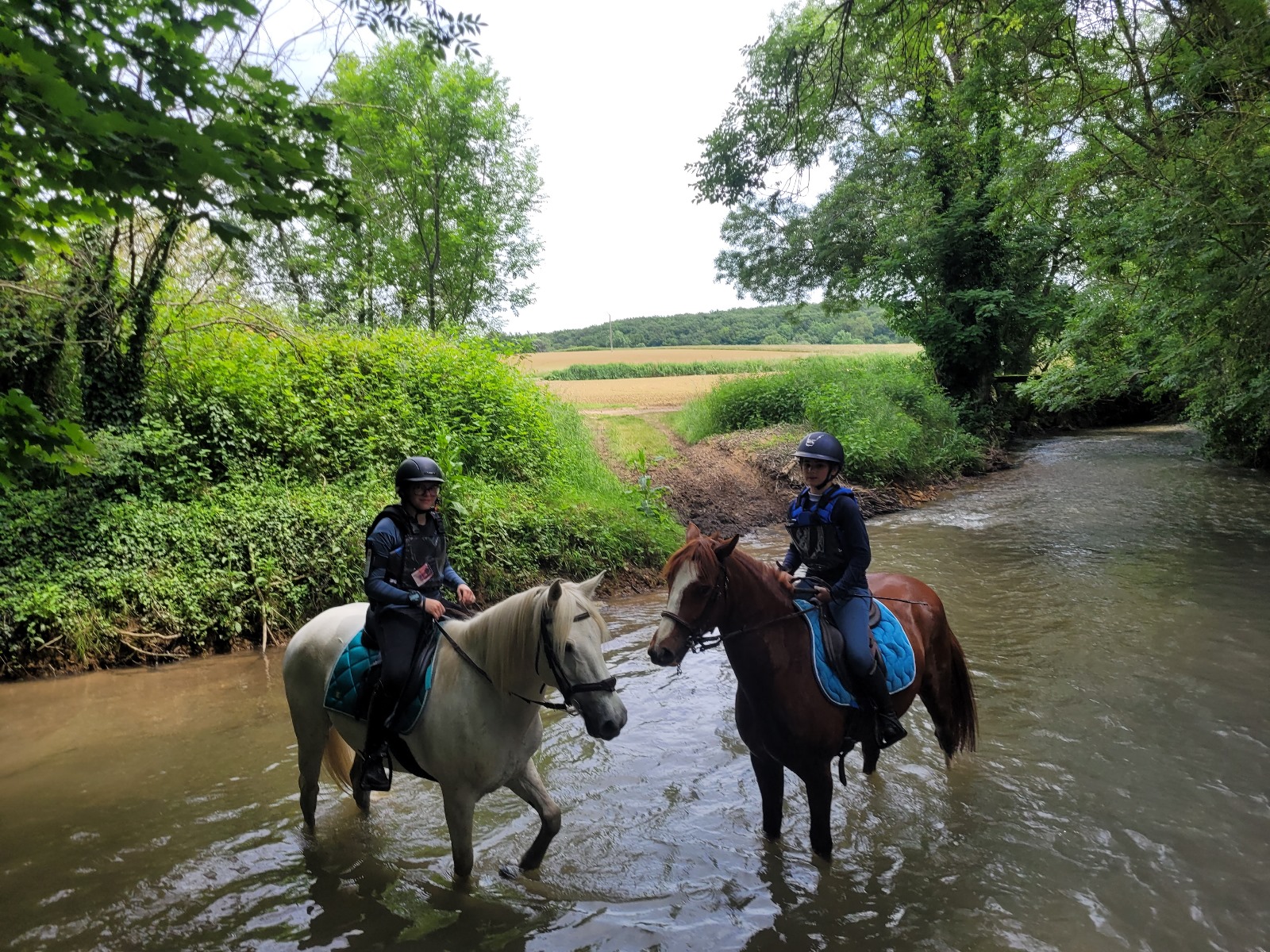 Ecuries des Collines à Doissin - Centre équestre