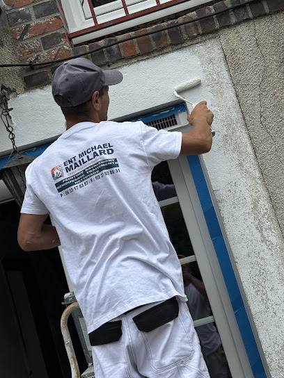 Peintre Chartres I Démoussage - Michael Maillard