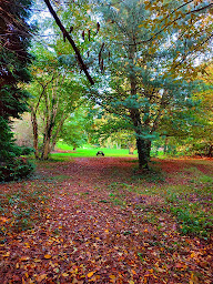Photo n°6 de Gîte L'Orée d'Eawy à Les Grandes-Ventes (Lodge)
