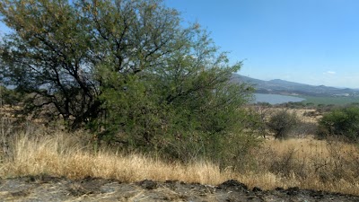Photos of Laguna de Yuriria