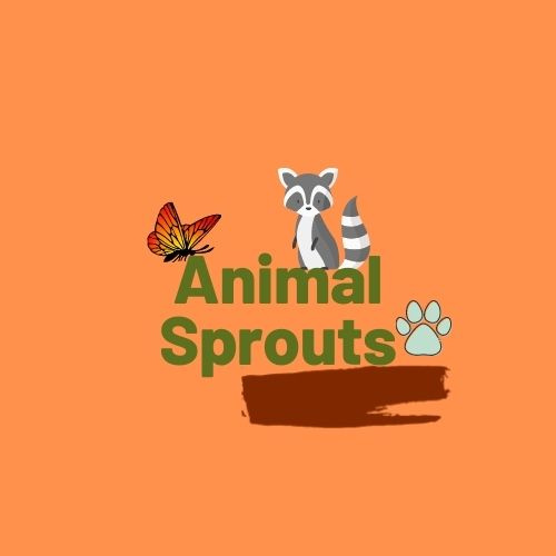 Animal Sprouts - Thumbnail