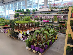 Photo n°6 de Castorama à Niort (Magasin d'outillage)