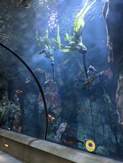 Aquarium