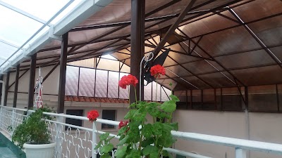 Photos of Museo Humberto Iporre Salinas