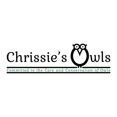 Chrissie's Owls & Stonesfield Owl Rescue - Thumbnail