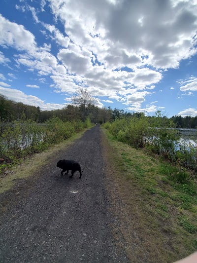 Great Bay Animal Hospital