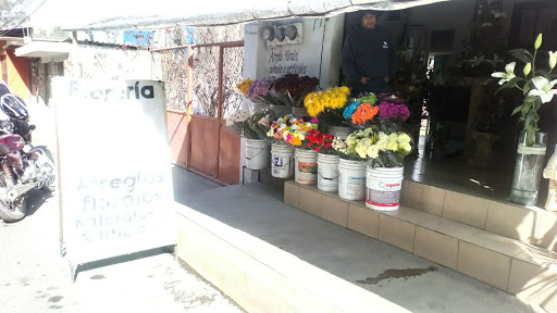 Florería gamy