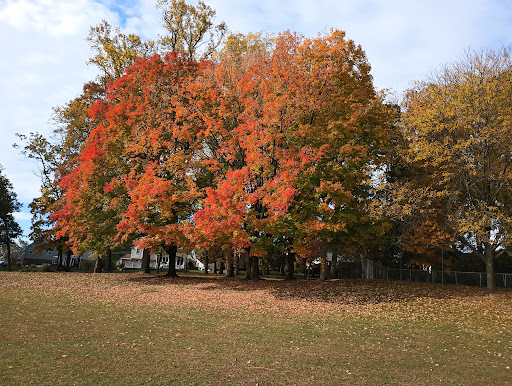 Crowell Park - Thumbnail