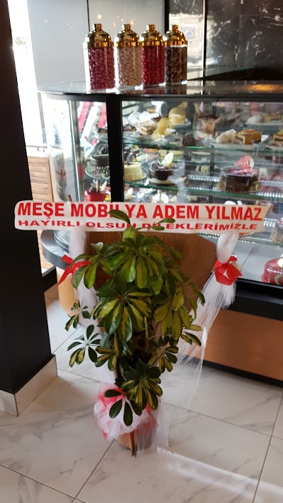 Photos of Arı Concept