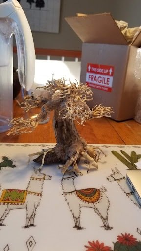 Minifiss Bonsai Driftwood - Thumbnail