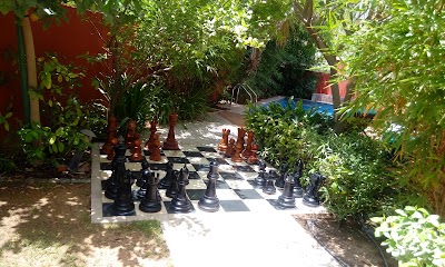 Photos of Aldea Courtyard 7