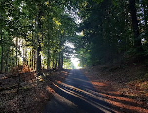 Photo n°17 de La maison des sapins à Devesset (Association culturelle)