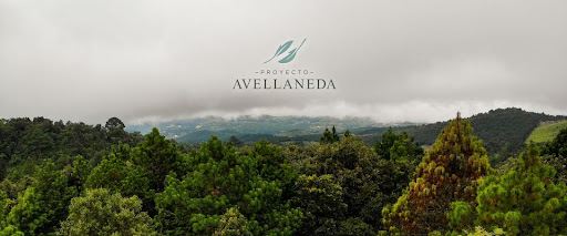 Proyecto Avellaneda