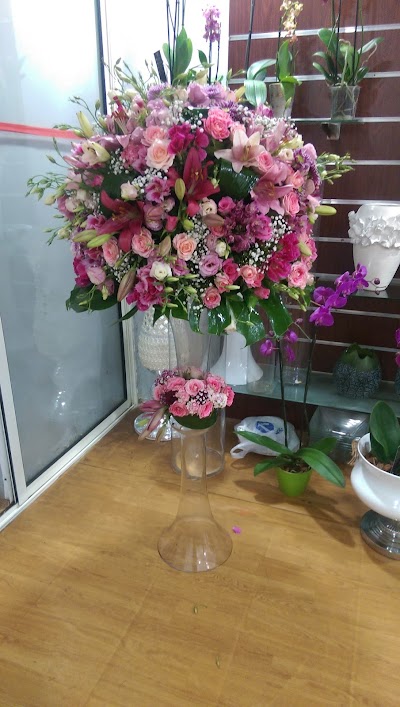 Photos of Label' Gallery