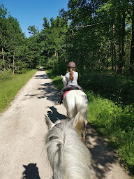 Photo n°21 de Poney Club de Sucy à Sucy-en-Brie (Centre équestre)